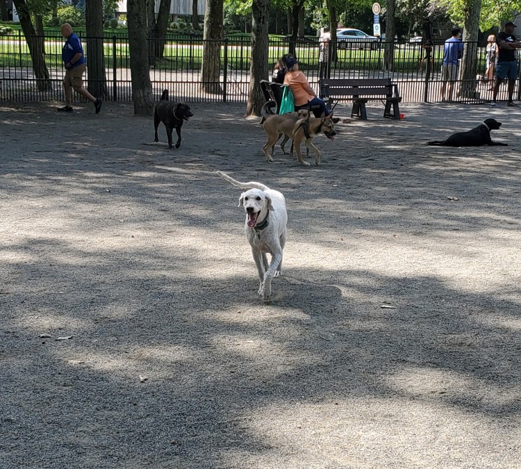 dog-park-photo